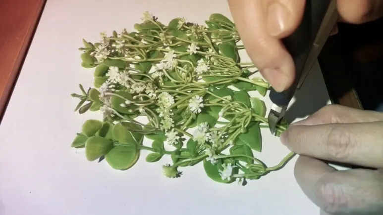 IMG_1790.jpg?type=w773