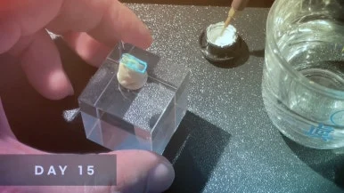 IMG%EF%BC%BF5586.jpg?type=w386