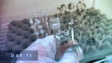 IMG%EF%BC%BF5581.jpg?type=w386