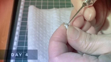 IMG%EF%BC%BF5566.jpg?type=w386