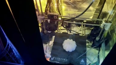 IMG_0800.jpg?type=w386