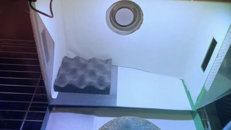 IMG%EF%BC%BF4800.jpg?type=w773