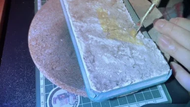 IMG_3560.jpg?type=w386