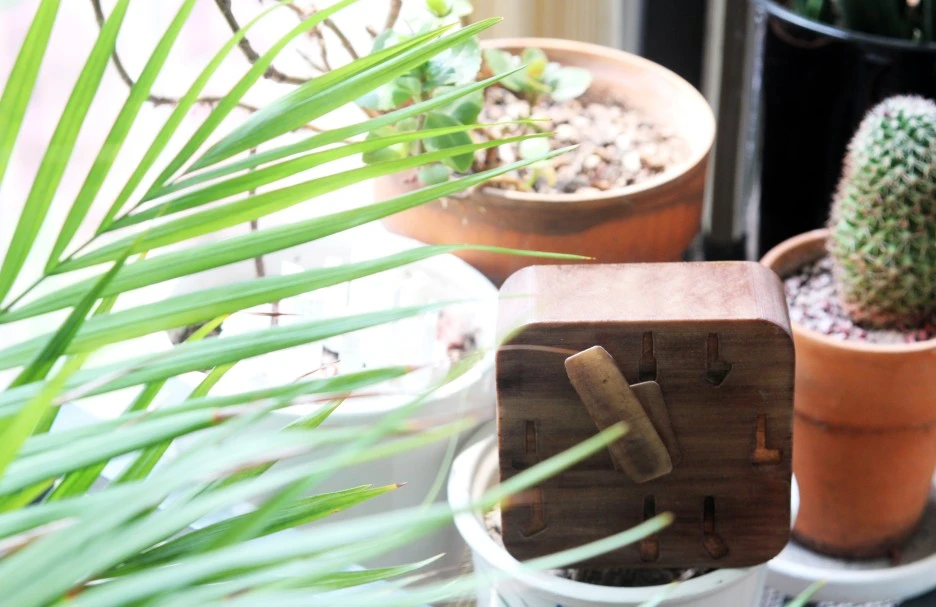 IMG_6066.JPG?type=w1