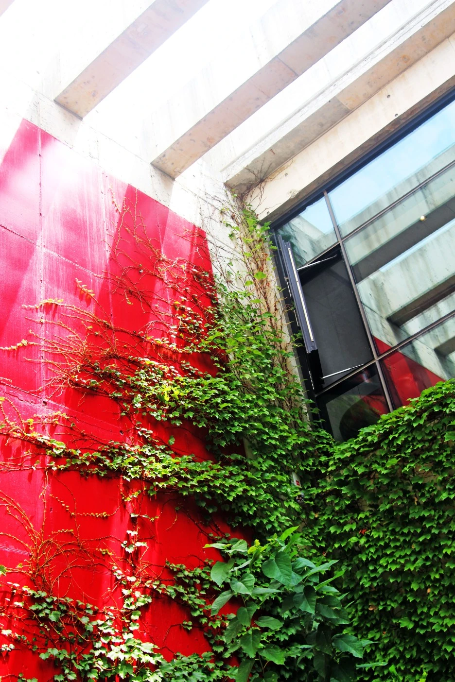 IMG_6606.jpg?type=w1