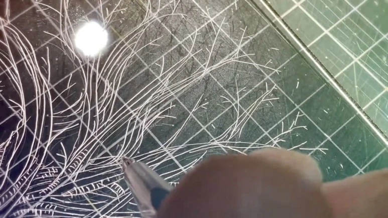 IMG_9300.jpg?type=w773