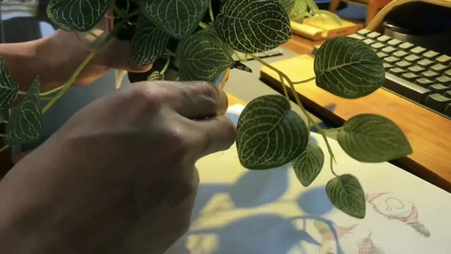 IMG_8737.jpg?type=w1