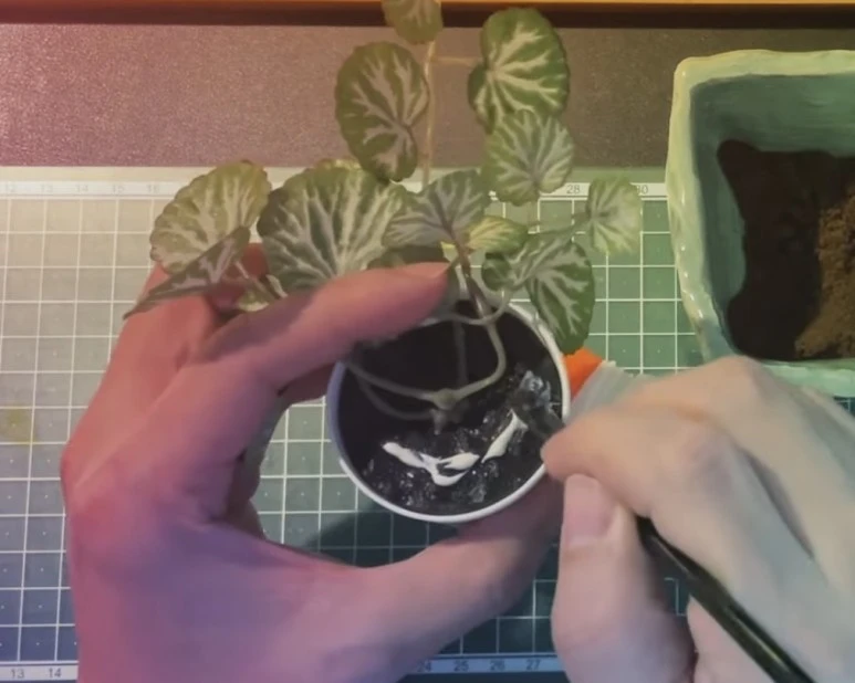 IMG_9275.jpg?type=w773