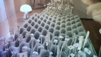 IMG%EF%BC%BF5599.jpg?type=w386