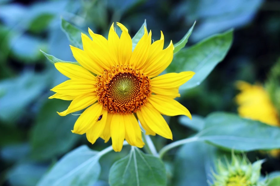 IMG_6102_Original.jpg?type=w1