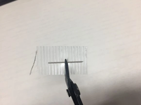 IMG_8038.JPG?type=w580