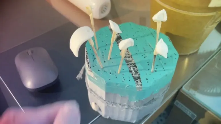 IMG%EF%BC%BF4895.jpg?type=w773