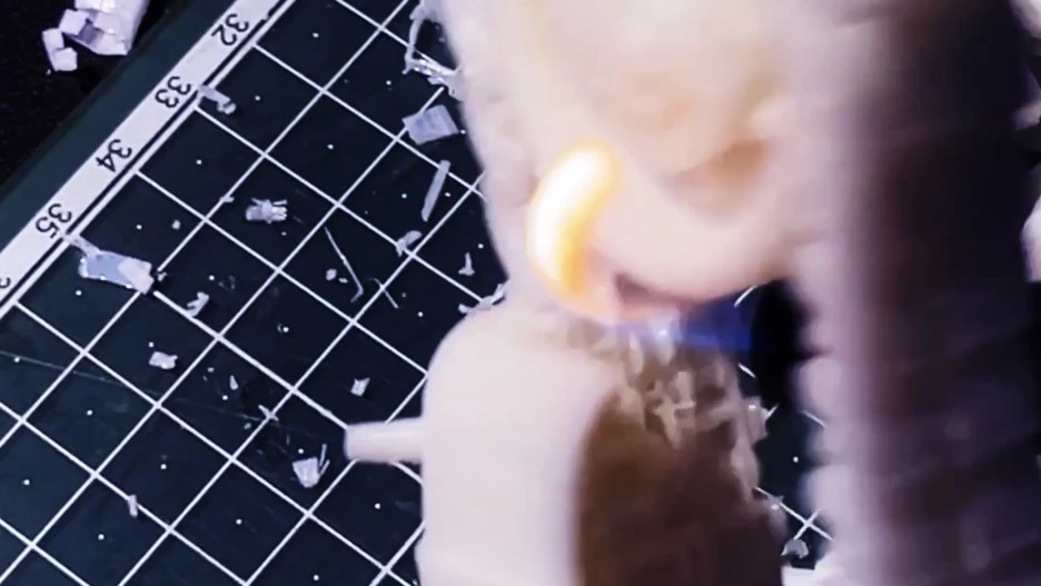 IMG_5384.jpg?type=w1