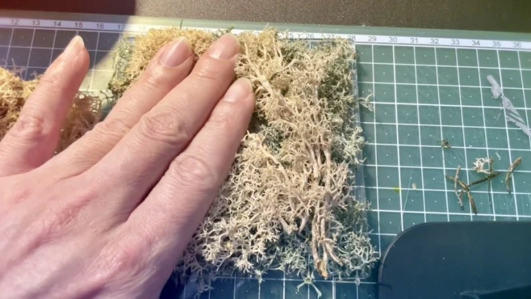 IMG_9305.jpg?type=w773