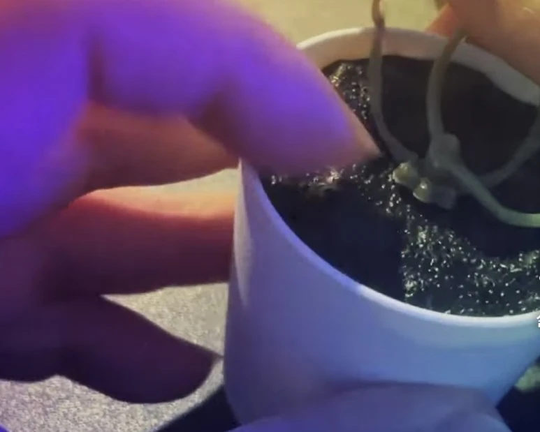 IMG_9270.jpg?type=w773