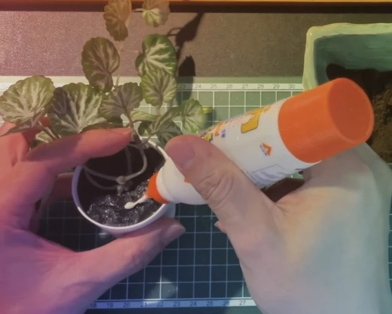 IMG_9274.jpg?type=w773