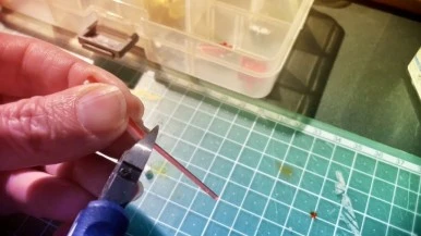 IMG_0865.jpg?type=w386