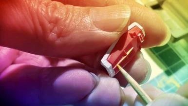 IMG_1356.jpg?type=w386