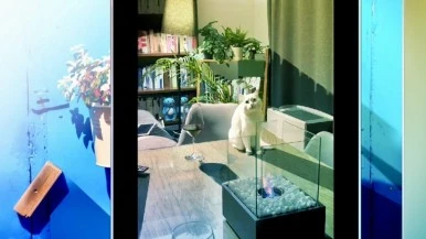 IMG_1206.jpg?type=w386