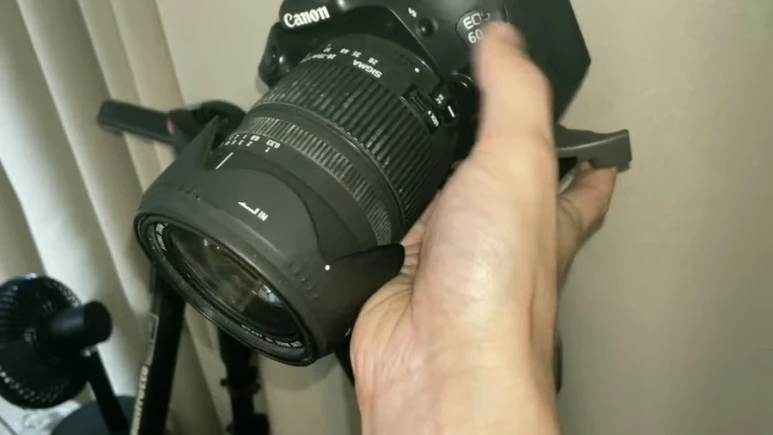 IMG_9010.jpg?type=w773