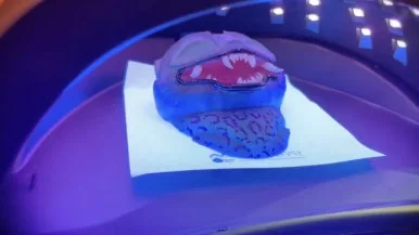 IMG%EF%BC%BF4913.jpg?type=w386