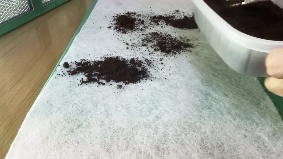 IMG_6862.jpg?type=w1