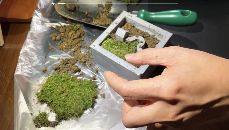 IMG_4149.jpg?type=w1