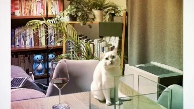 IMG_1198.jpg?type=w386