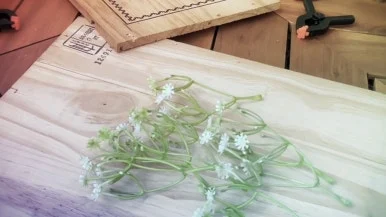 IMG_1785.jpg?type=w386