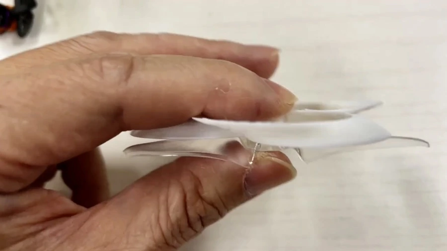 IMG_8231.jpg?type=w1