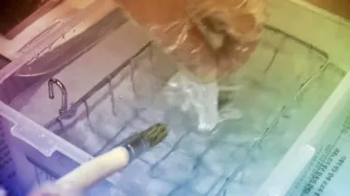 IMG_1666.jpg?type=w386