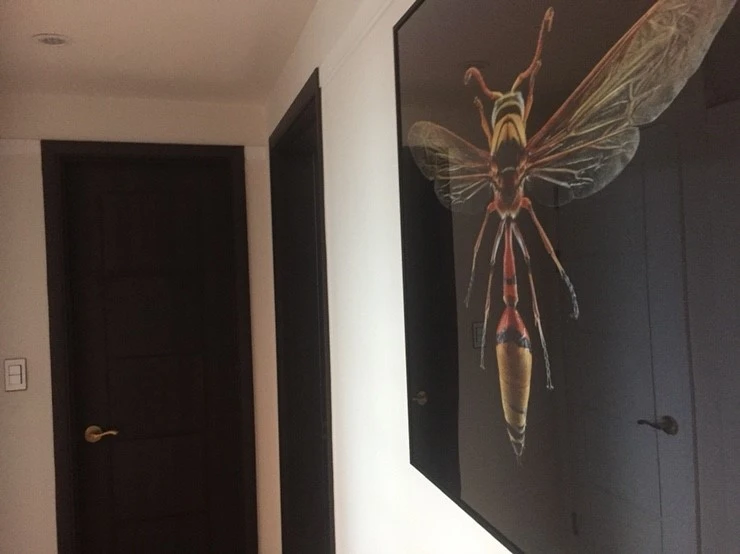 IMG_9249.JPG?type=w773