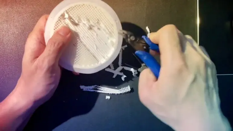 IMG_2406.jpg?type=w773