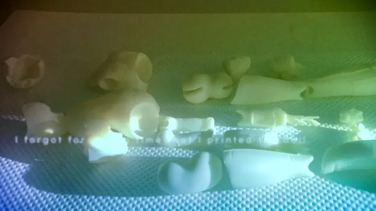 IMG_3856.jpg?type=w773