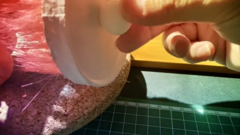 IMG_2430.jpg?type=w773