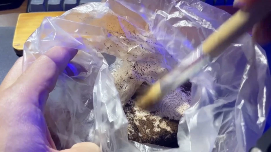 IMG_7563.jpg?type=w1