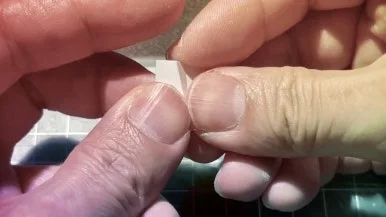 IMG_1804.jpg?type=w386