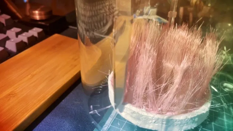 IMG_2432.jpg?type=w773