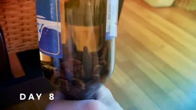 IMG_2246.jpg?type=w386