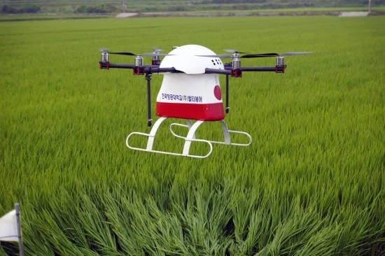 %B3%F3%BE%E0%BB%EC%C6%F7%BF%EB_%B8%D6%C6%BC%C4%DF%C5%CD.jpg?type=w3