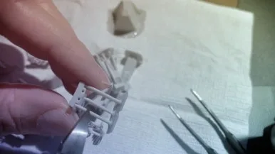 IMG_3113.jpg?type=w386