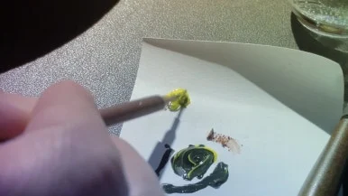 IMG_3167.jpg?type=w386