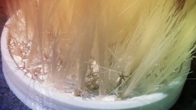 IMG_2421.jpg?type=w773