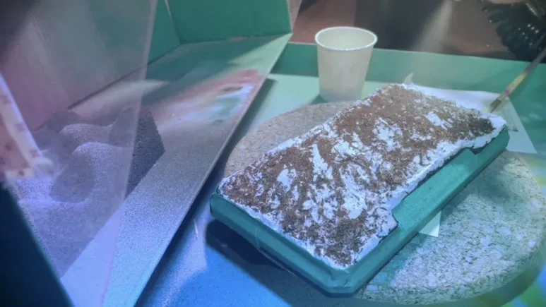 IMG_3558.jpg?type=w773