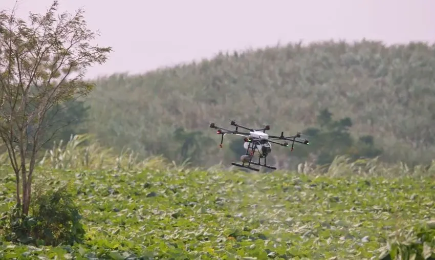 MG1cheap.jpg?type=w1