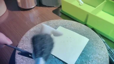 IMG_3858.jpg?type=w386