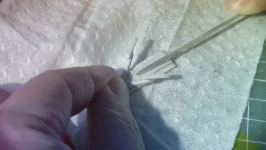 IMG_3120.jpg?type=w386