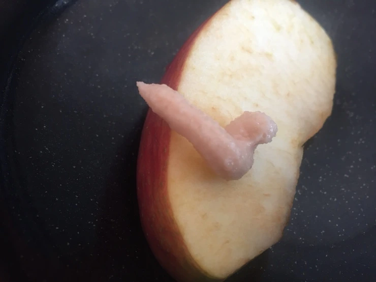 IMG_3247.JPG?type=w1