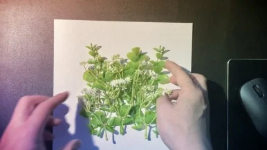 IMG_1786.jpg?type=w386