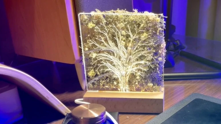 IMG_9308.jpg?type=w773